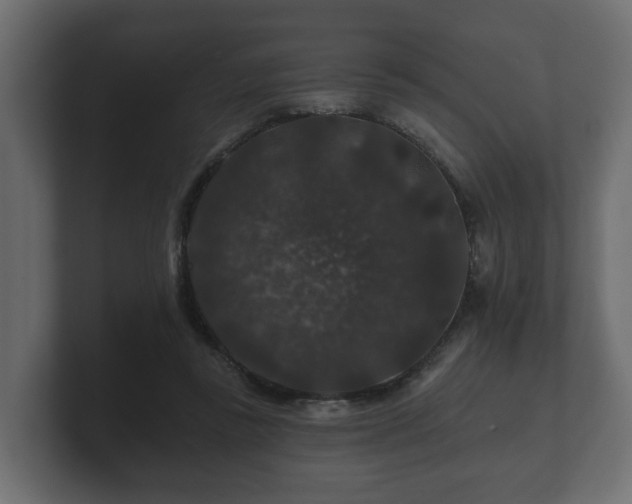 X0000100750355200806261548