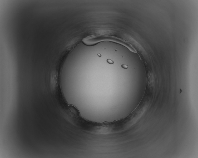 X0000100750356200806261548