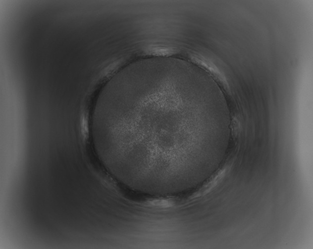 X0000100750358200806261548