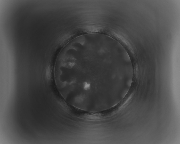 X0000100750359200806261548