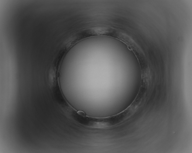 X0000100750360200806261548