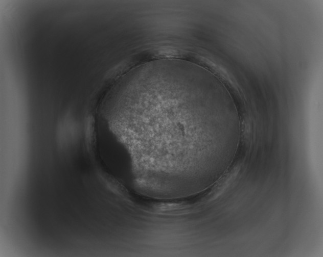 X0000100750361200806261548