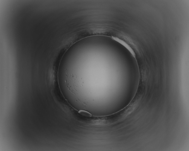 X0000100750362200806261548