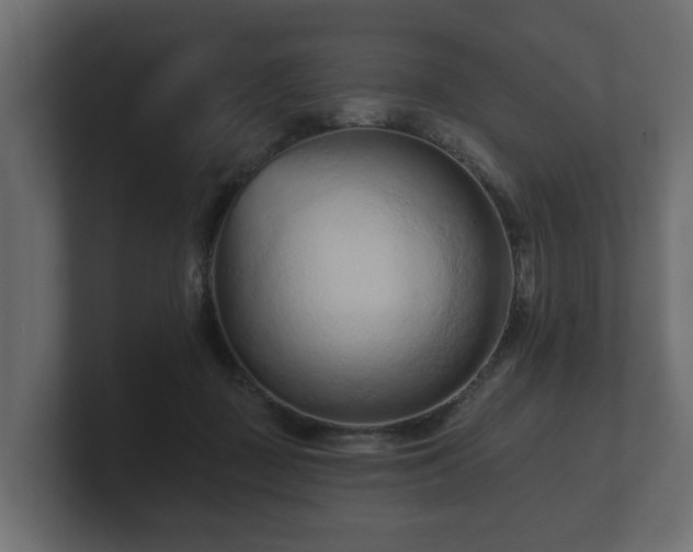 X0000100750363200806261548