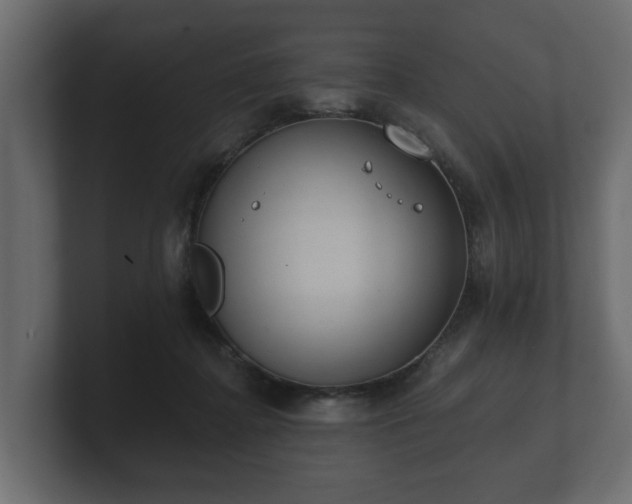 X0000100750364200806261549