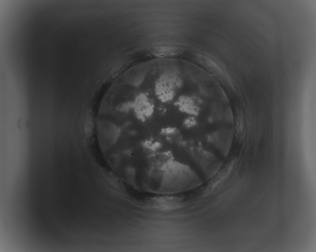 X0000100750367200806261549