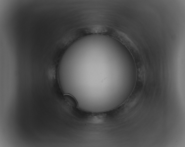 X0000100750368200806261549