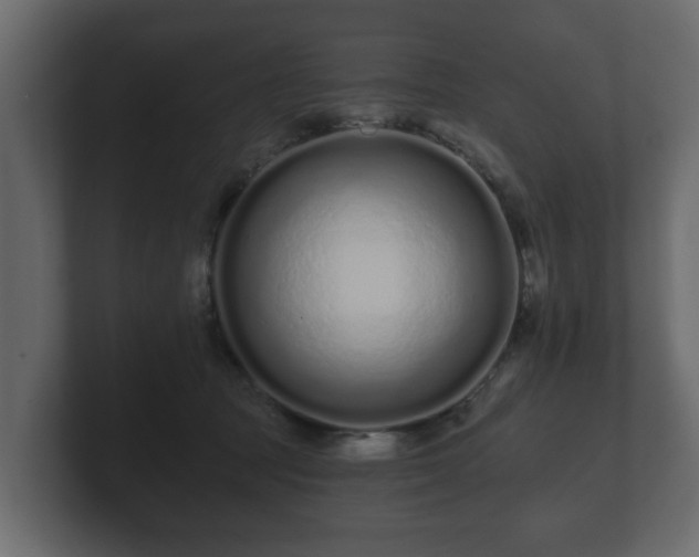 X0000100750369200806261549