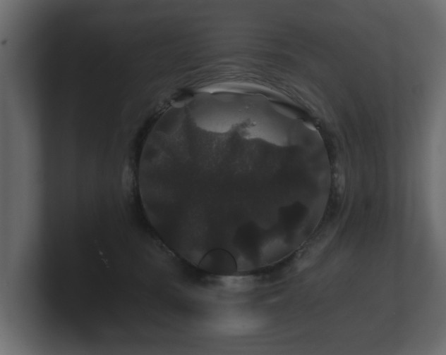 X0000100750371200806261549