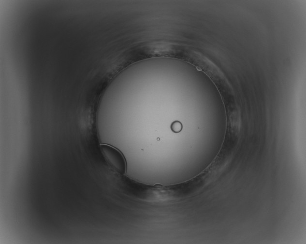 X0000100750372200806261549