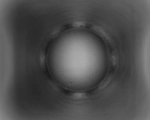 X0000100750375200806261549