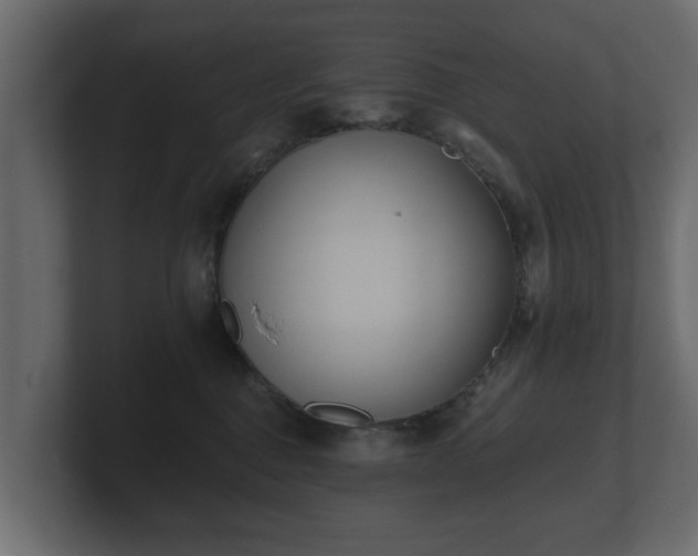 X0000100750376200806261549