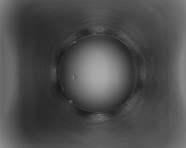 X0000100750378200806261549