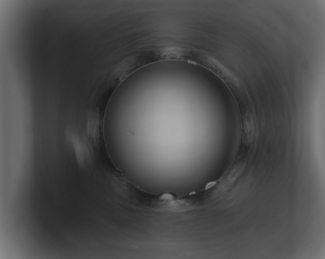 X0000100750379200806261549