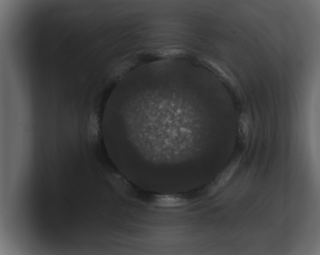 X0000100750380200806261549