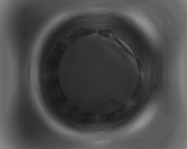 X0000100750383200806261549