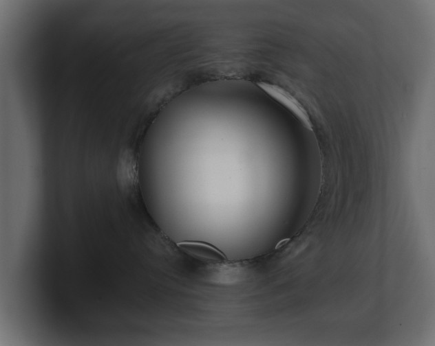 X0000100750384200806261549