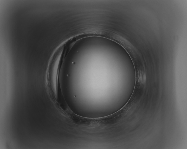 X0000100750388200806261548