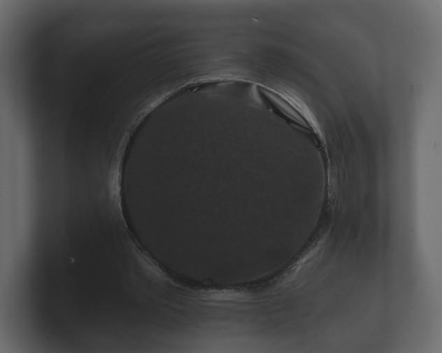 X0000100750389200806261548