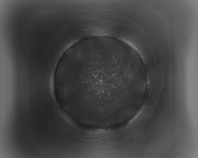 X0000100750390200806261548