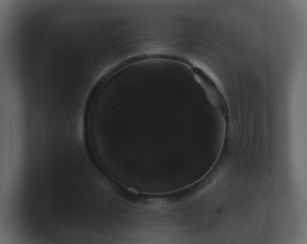 X0000100750391200806261548