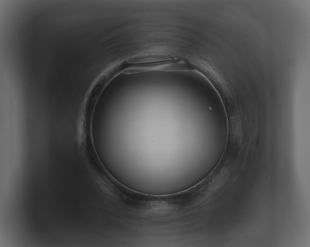 X0000100750392200806261548