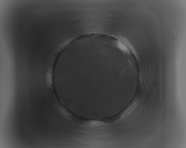 X0000100750393200806261548