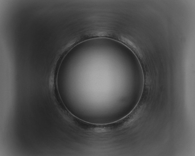 X0000100750394200806261548