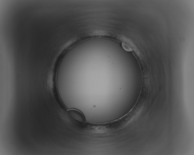 X0000100750395200806261548