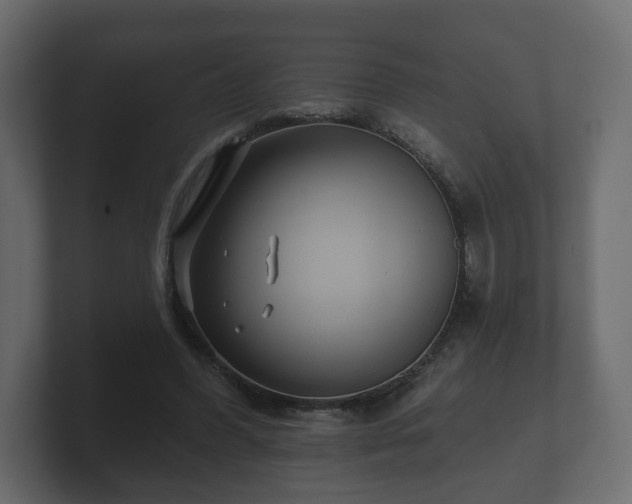 X0000100750396200806261548