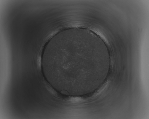 X0000100750397200806261548