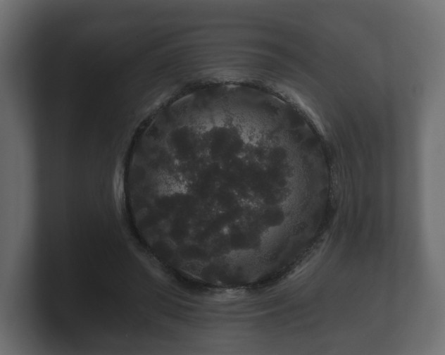 X0000100750398200806261548