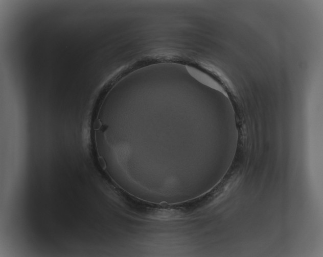 X0000100750399200806261548