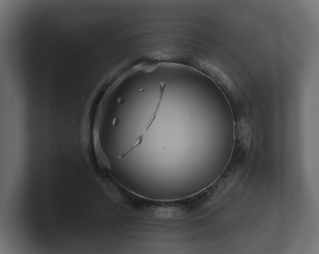 X0000100750400200806261548