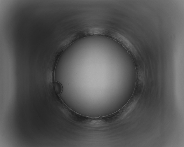 X0000100750401200806261548