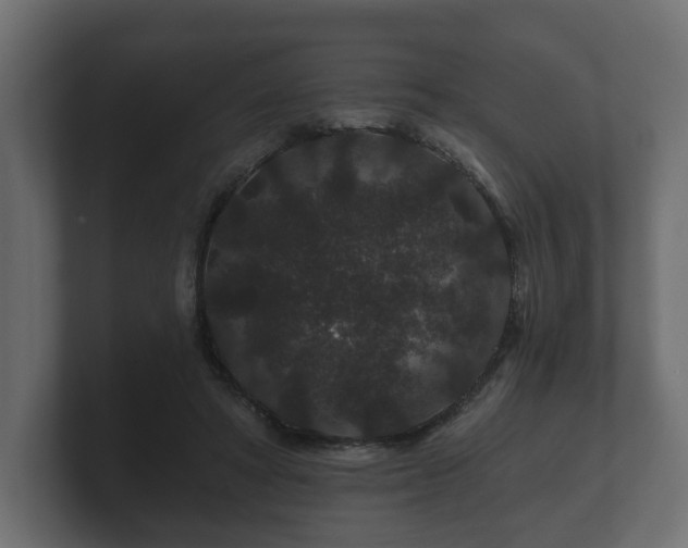 X0000100750402200806261548