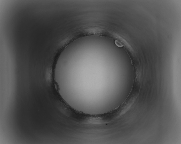 X0000100750403200806261548