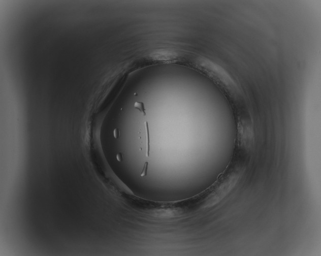 X0000100750404200806261548