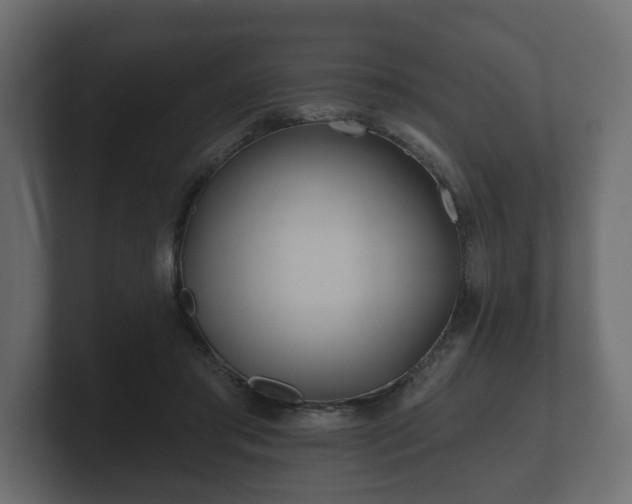 X0000100750405200806261548