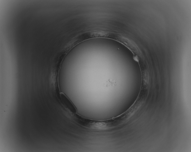 X0000100750409200806261548