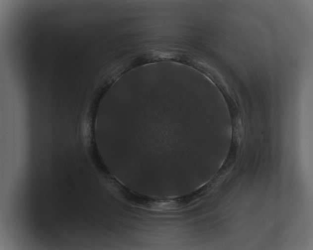 X0000100750410200806261548