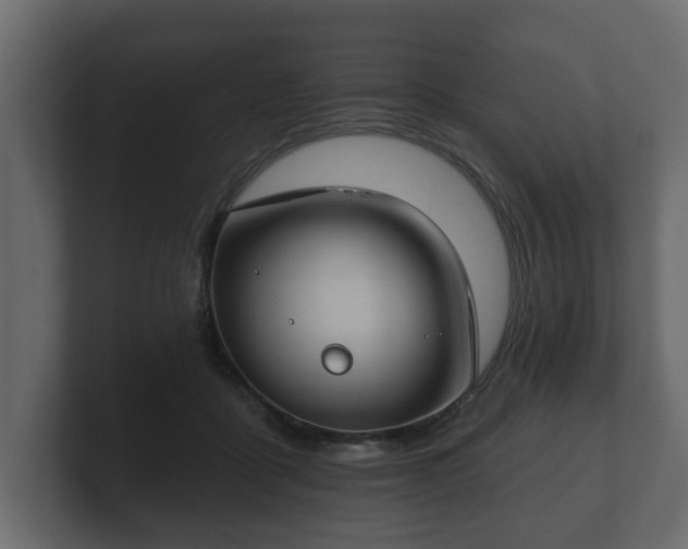 X0000100750411200806261548