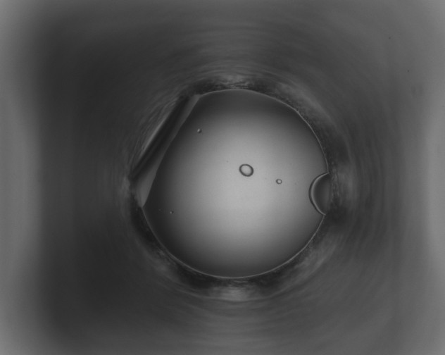 X0000100750412200806261548