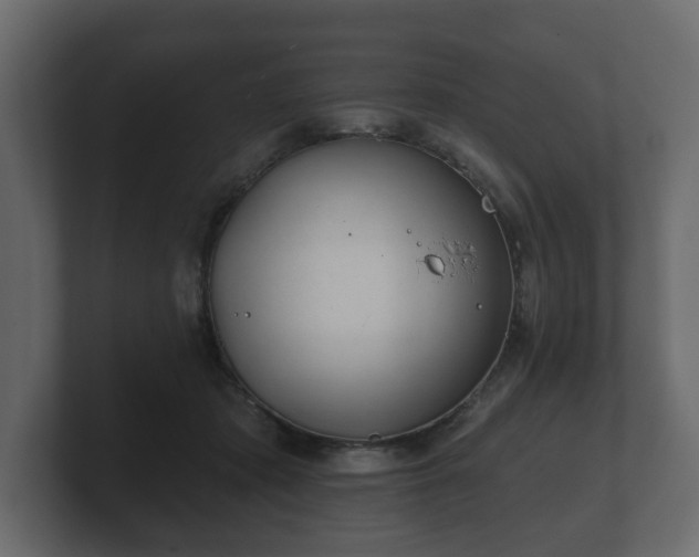 X0000100750413200806261548