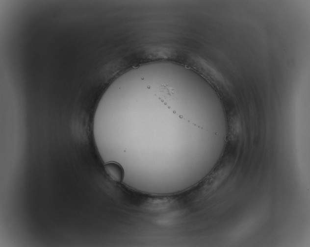 X0000100750414200806261548