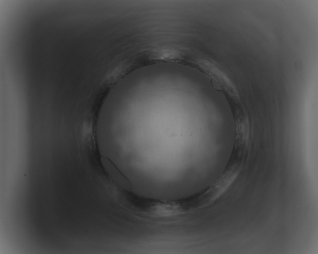 X0000100750415200806261548