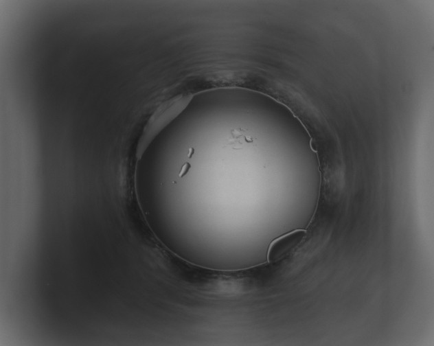 X0000100750416200806261548