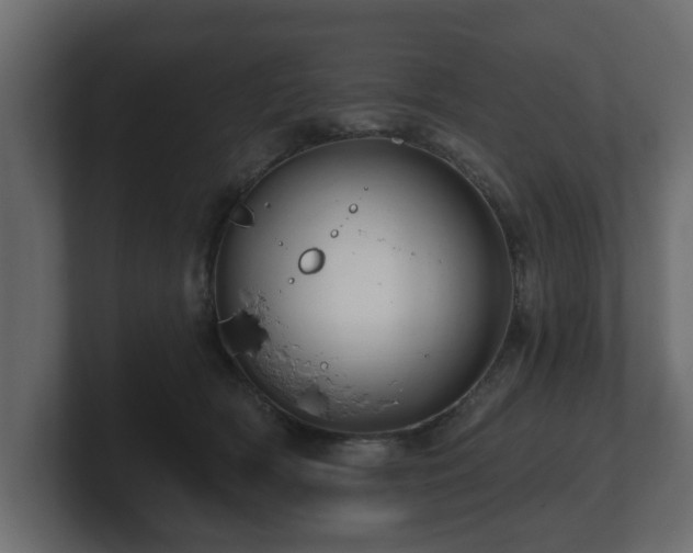 X0000100750418200806261548