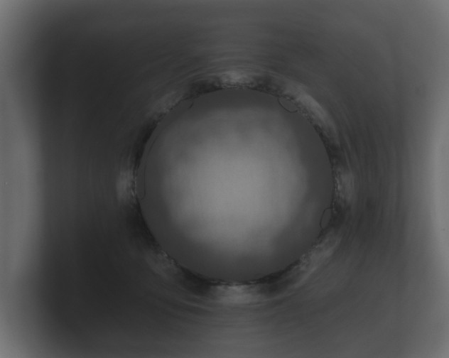 X0000100750419200806261548