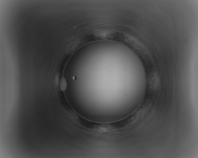 X0000100750420200806261548